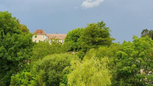 Château view